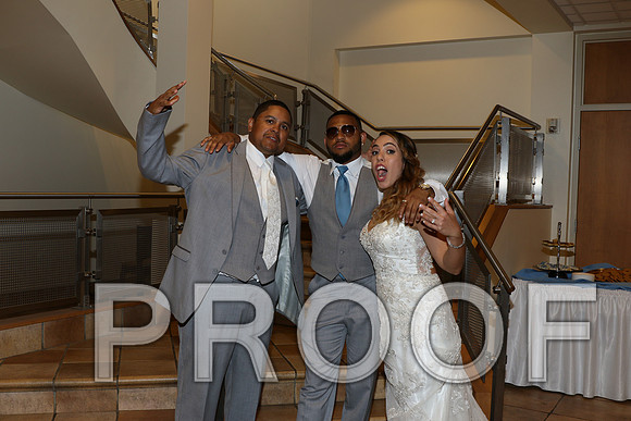 IF6A2436 / The Wedding Reception - Guests