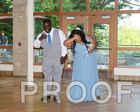IF6A2502 / The Wedding Reception - Introducing the Bridal Party