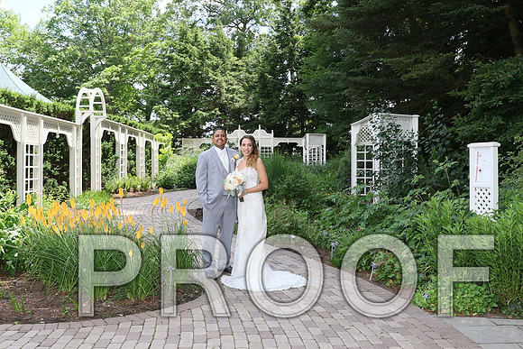 IF6A2057 / The Wedding - The Bride and Groom