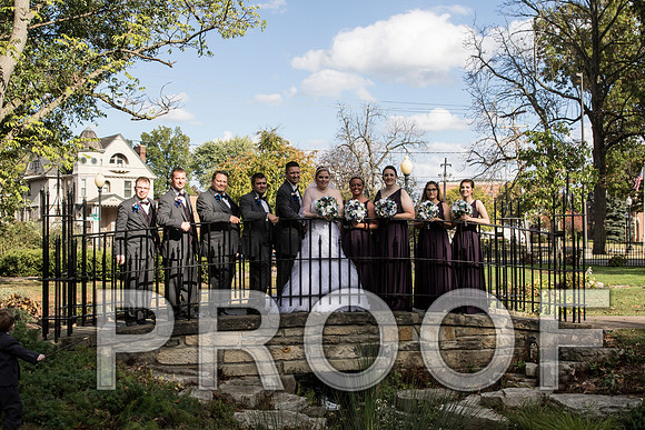IF6A8291 aaa Wedding - Bride and groom with bridal party