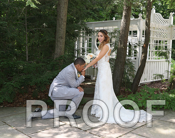 IF6A2150 / The Wedding - The Bride and Groom
