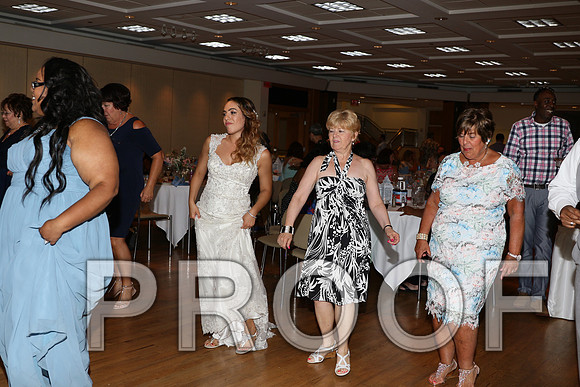 IF6A2709 / The Wedding Reception - Let the Party start