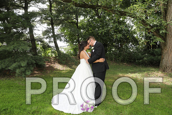 8L2A5910 Wedding - Bride and Groom with the Bridal Party