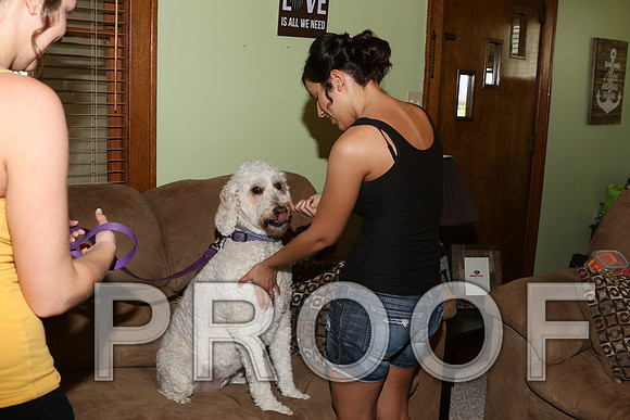 IF6A5011 Wedding - Bride preparing for the big day
