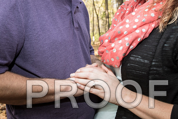IF6A8919 aaa Engagement Session at Millcreek Park