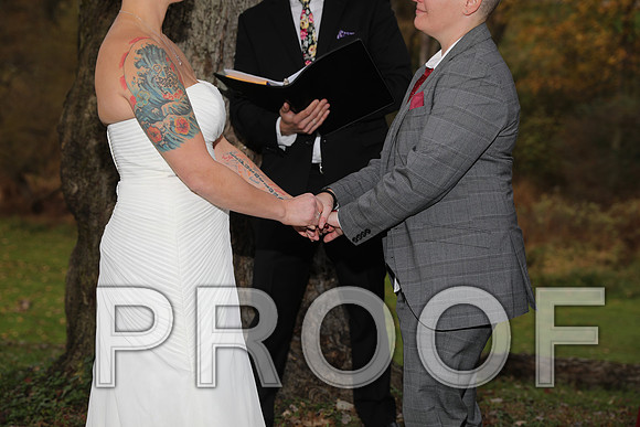 8L2A3424 Wedding Photos - The ceremony