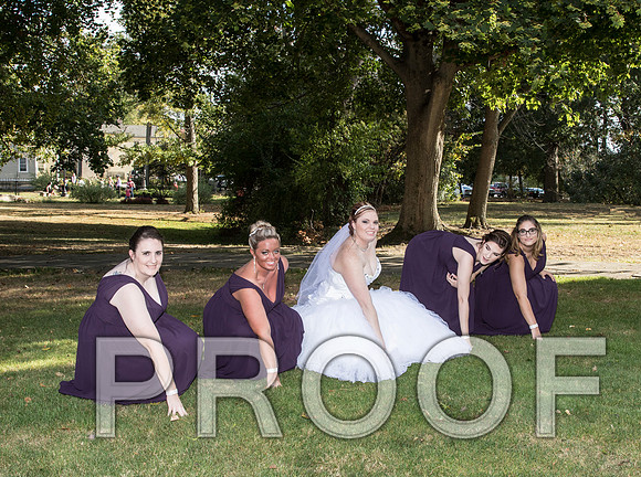 IF6A8253 aaa Wedding - Bride and groom with bridal party