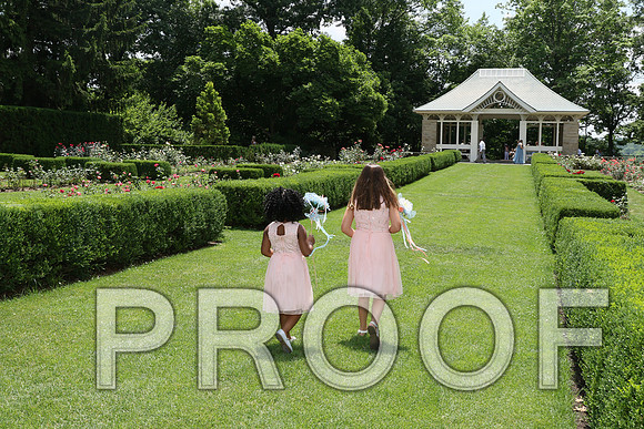 IF6A1662 aaa / The wedding Ceremony