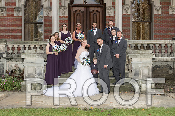 IF6A8222 aaa Wedding - Bride and groom with bridal party
