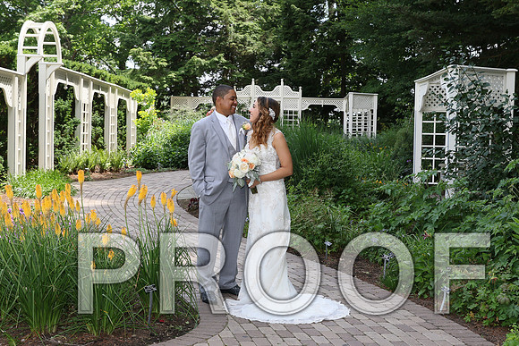 IF6A2063 / The Wedding - The Bride and Groom