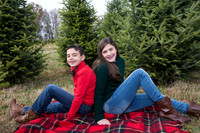 Trish Family Pioneer Tree Farm