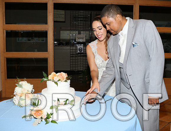 IF6A2583 / The Wedding - Cutting the Cake