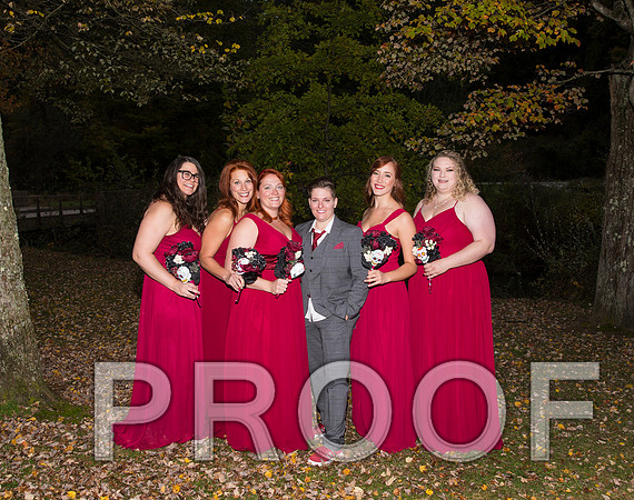 8L2A3534 aaa Wedding Photos - the bride and groom along with the bridal party