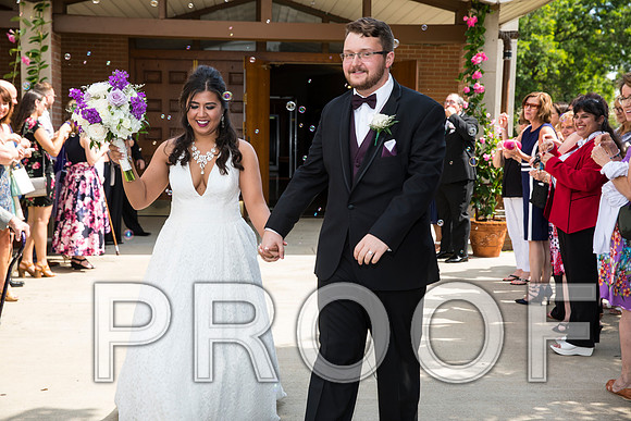 8L2A5708 aaa Wedding - Cheers to the Bride and Groom