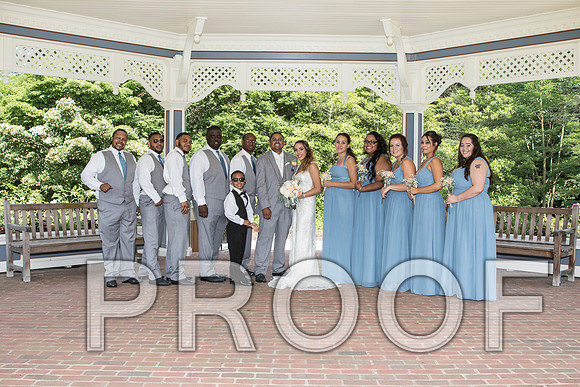 IF6A2284 aaa / The Wedding - Bride & Groom with the Bridal Party