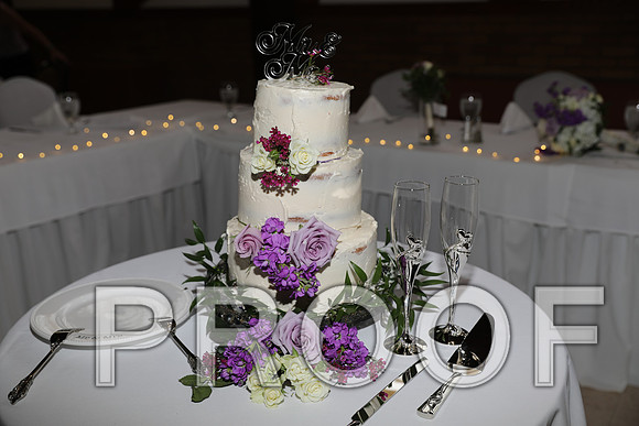 8L2A5950 Wedding - Reception with Family and Friends