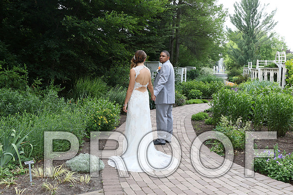 IF6A2097 / The Wedding - The Bride and Groom
