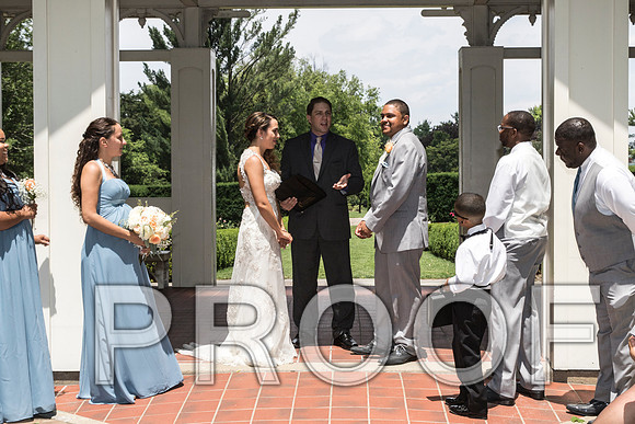 IF6A1893 aaa / The Wedding Reception - Guests
