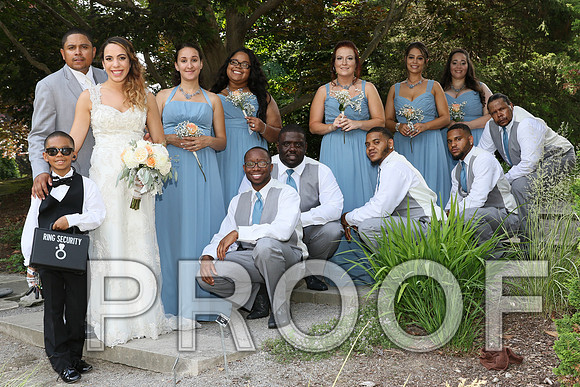 IF6A2298 / The Wedding - Bride & Groom with the Bridal Party