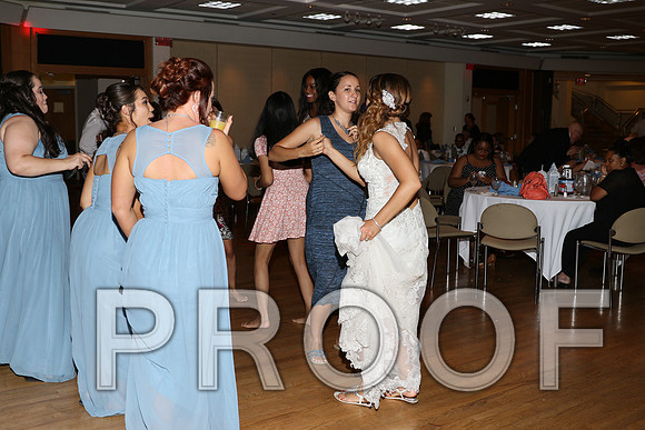 IF6A2884 / The Wedding Reception - Let the Party start