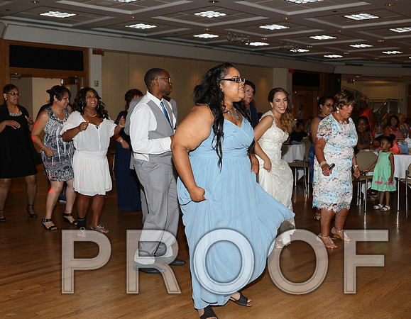 IF6A2721 / The Wedding Reception - Let the Party start