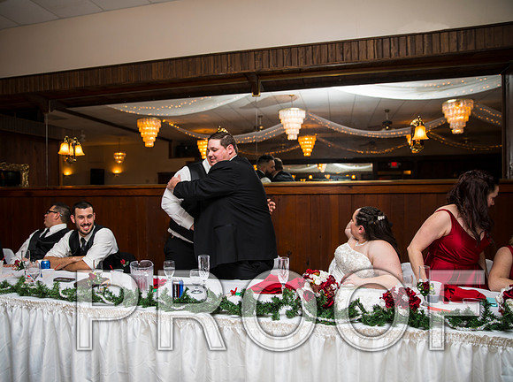 8L2A6372 aaa Wedding Photos - Toasts to the Bride & Groom