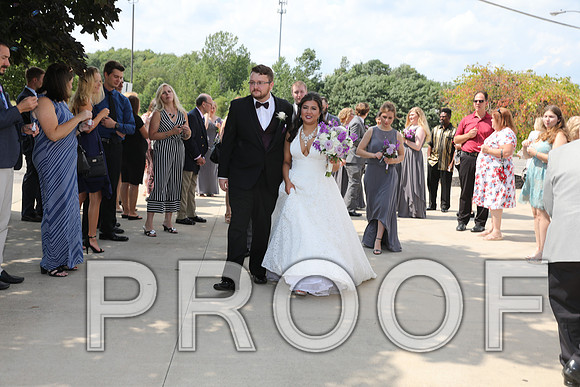 8L2A5724 Wedding - Cheers to the Bride and Groom