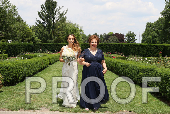 IF6A1698 / The wedding Ceremony
