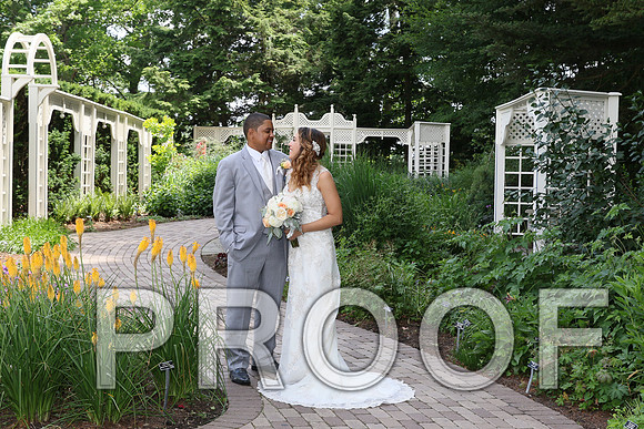 IF6A2061 / The Wedding - The Bride and Groom