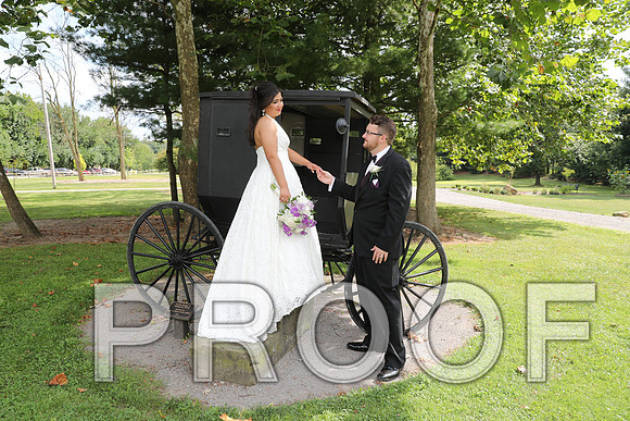 8L2A5868 Wedding - Bride and Groom with the Bridal Party