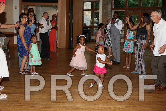 IF6A2769 / The Wedding Reception - Let the Party start