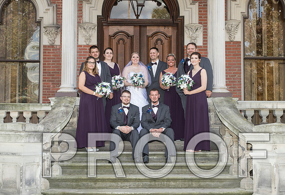 IF6A8239 aaa Wedding - Bride and groom with bridal party