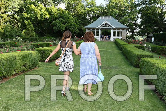 IF6A1230/The Wedding Rehearsal