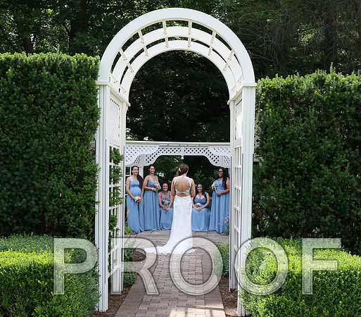 IF6A2200 / The Wedding - Bride & Groom with the Bridal Party