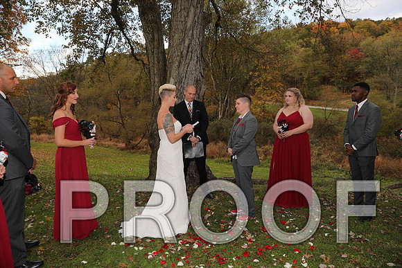 8L2A3387 Wedding Photos - The ceremony