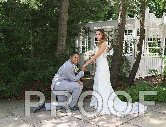 IF6A2147 / The Wedding - The Bride and Groom