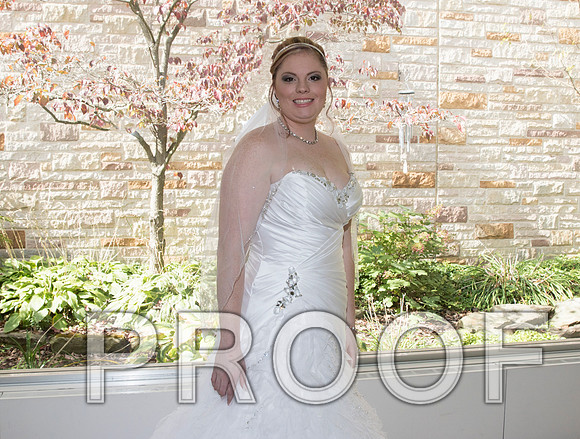 IF6A7743 aaa Wedding - Bride with family and bridesmaids