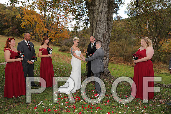 8L2A3314 Wedding Photos - The ceremony