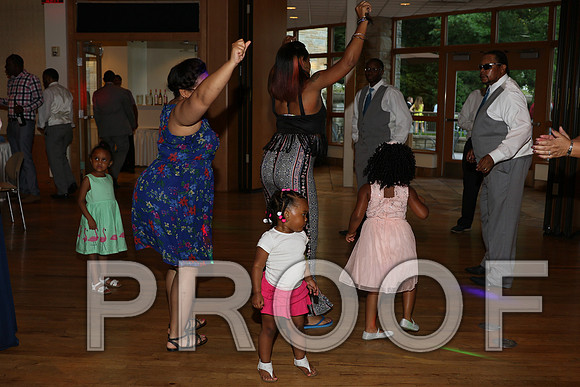 IF6A2778 / The Wedding Reception - Let the Party start