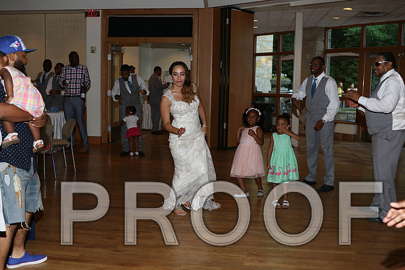 IF6A2781 / The Wedding Reception - Let the Party start