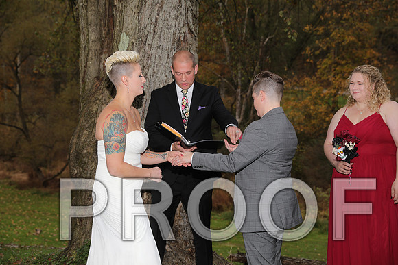 8L2A3414 Wedding Photos - The ceremony