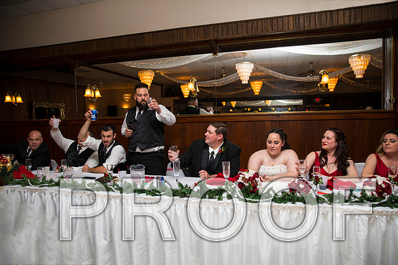 8L2A6370 aaa Wedding Photos - Toasts to the Bride & Groom