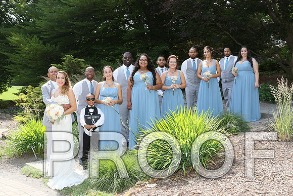 IF6A2293 / The Wedding - Bride & Groom with the Bridal Party