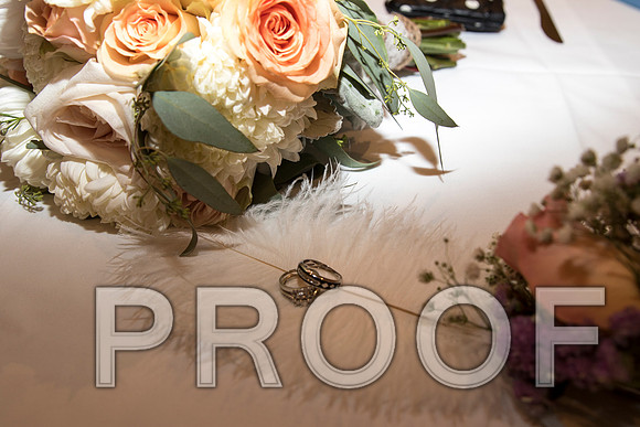 IF6A2347 aaa / The Wedding Reception - Guests